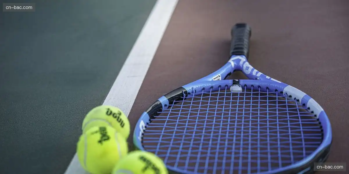 高效赛事运营管理 优化品牌收益模式